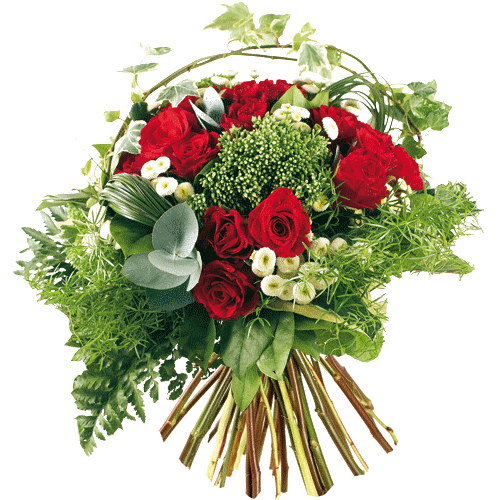 Bélas Flores